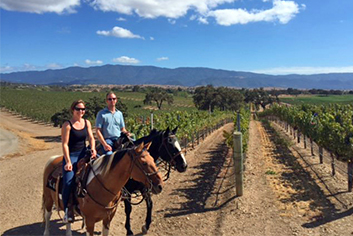 vino vaqueros horseback riding